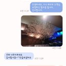 인조느티나무 인조벚꽃나무 1주일간 설치 시공기~