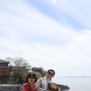 정인목장 Daum카페