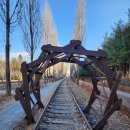 (재)예수의꽃동네유지재단 서울꽃동네신내노인요양원 | 2023.01.16.월_10Km 걷기