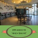 윌라라커피