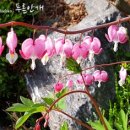송림원 이미지