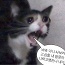 명전전기 네이버블로그