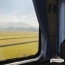 기차여행/ 월전리843/ 상화원/ 대천 해수욕장/ 대천 해브잇 카페/ 섬과섬사이 조개구이 대하구이 솔직후기