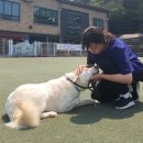 한유복동물병원 네이버블로그
