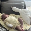 소창한의원 | 쌍둥이 육아일기 ) 이제 곧 100일