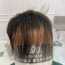 만모헤어