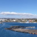 위미 모루왓 이미지