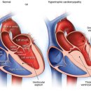 석촌호수동물병원 이미지