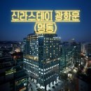 트립스테이 명동 | 서울 신라스테이 광화문 12월호캉스 데이트하기좋은곳