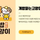 송강애견 이미지