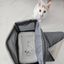 봄날동물의료센터 이미지