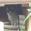 중방농장 이미지