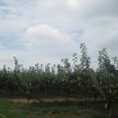 우성1농장 이미지