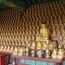 완도 신흥사 목조약사여래좌상 이미지