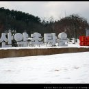 진안약초