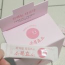 가나정 | 가나칸정 50mg 간 건강 영양제 효능