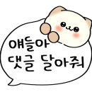 드루와치킨호프