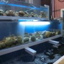 성은모텔 이미지