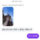 시드니 3-4일차 행복과 억까가 공존하는 날