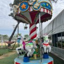 프리미어아레나승마클럽 | 원주 프리미어 아레나 승마클럽(원주 홀스앤독), 어린이승마체험