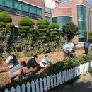 죽교동주민센터 이미지