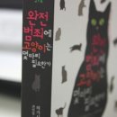 1st book : 완전범죄에 고양이는 몇마리 필요한가 - 히가시가와 도쿠야 저 이미지