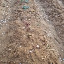 정식농장 이미지