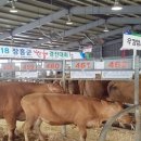 정남진장흥한우육종단지 이미지