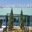 부안고려청자(목포) 이미지