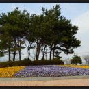 숲쟁이꽃동산 이미지