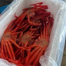 터미널수산 이미지