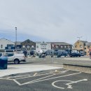 인싸피시 이미지