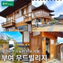 부여 애견동반 가능한 한옥 카페,무드빌리지 내돈내산 후기/충남 부여 여행