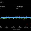 정직한주유소 화장실 | 2025년 춘천마라톤 풀코스 후기 (서브4성공+PB 달성)