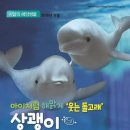 (개미뉴스) 인천환경운동연합·황해섬네트워크, 선갑도 인근에서 상괭이 100여 마리 목격해! 이미지