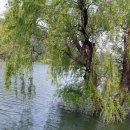 율리저수지 이미지