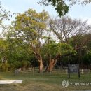 거목축산 이미지