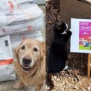 주식회사올라 이미지