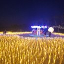 간절곶 공원 이미지