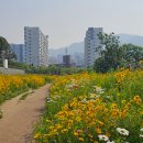 희망공원 배드민턴장 이미지