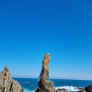 초곡1리 이미지