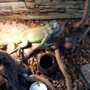 비손유치원 이미지