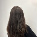뉴헤어나라