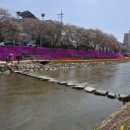 양지천3 이미지