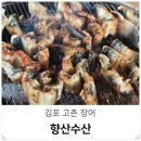 향산식당 | 김포 장어 맛집 고촌 가족외식 여름 몸보신 향산수산 후기