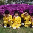 5.18기념회관 Daum카페
