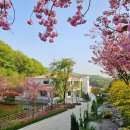 용인자작나무숲펜션 이미지