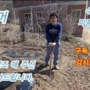 감자엄마