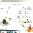남북한의 다연장 로켓 전력 비교-다시 올림 이미지