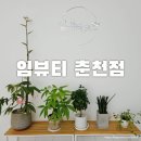 임뷰티춘천점